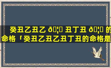 癸丑乙丑乙 🦆 丑丁丑 🦊 的命格「癸丑乙丑乙丑丁丑的命格是什么」
